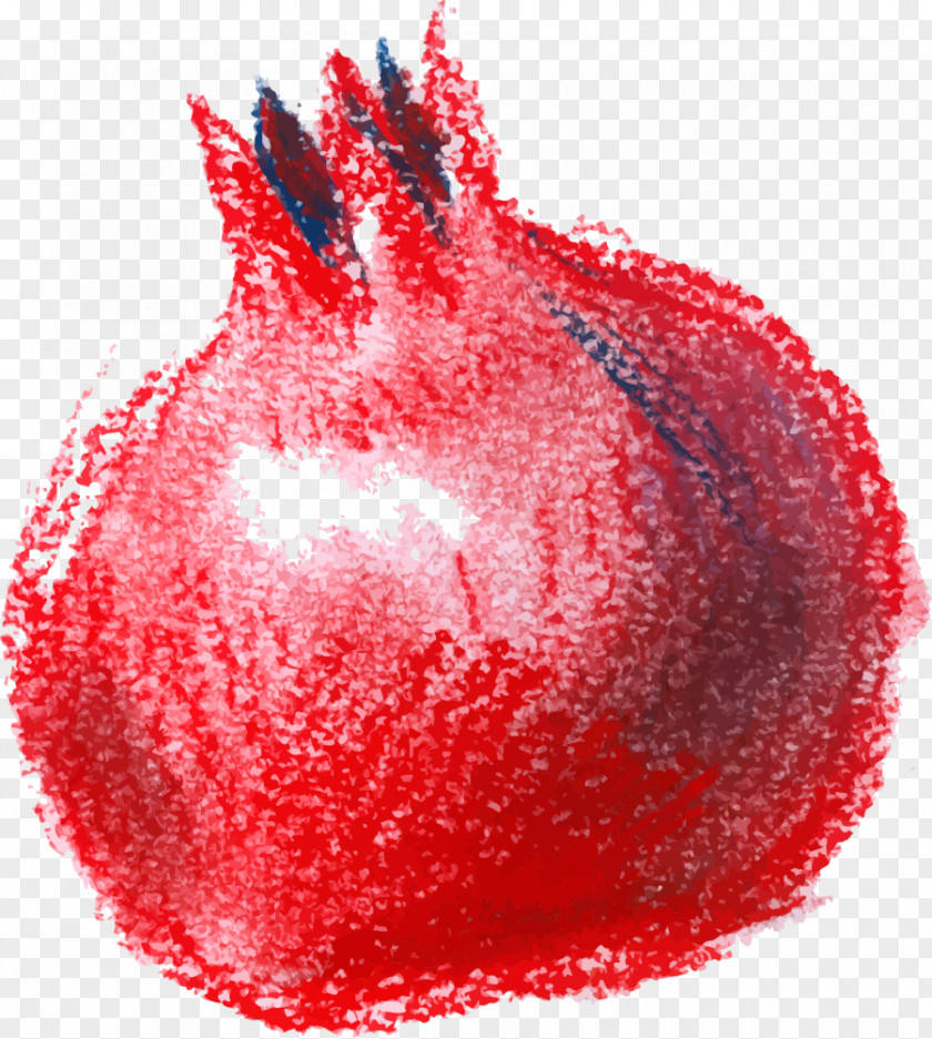 Hand Painted Red Pomegranate Watercolor Painting PNG