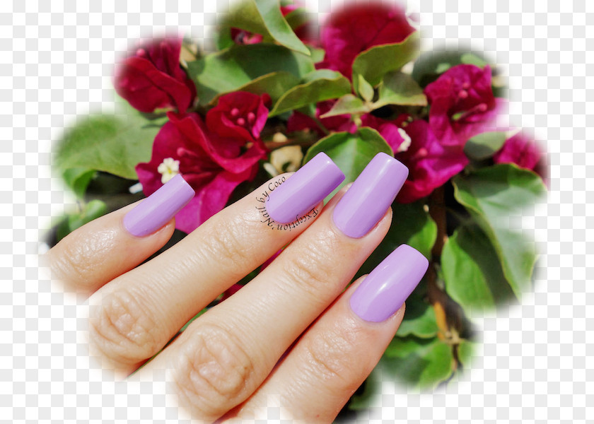 Nail Polish Manicure Hand Model PNG