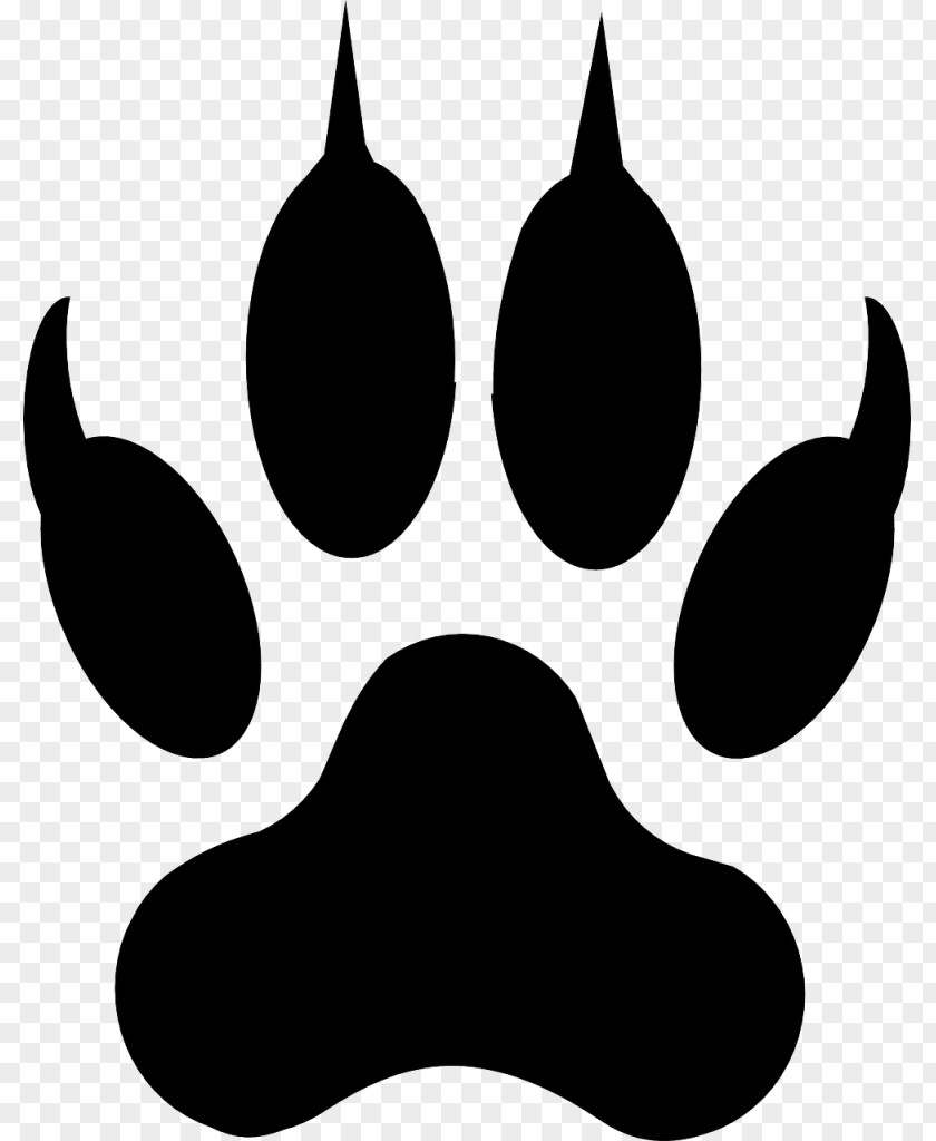 Paw Prints Dog Cat Coyote Clip Art PNG