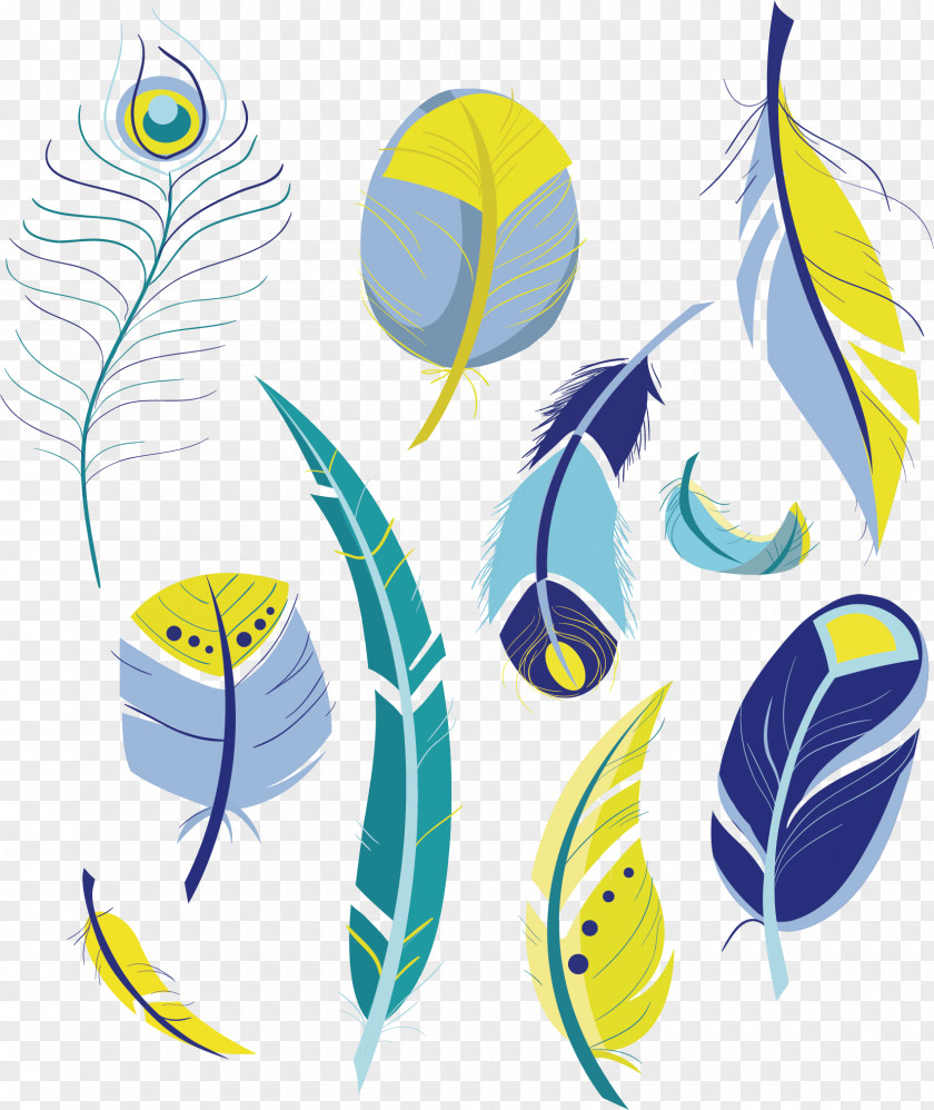 Vector Feather Drawing Clip Art PNG
