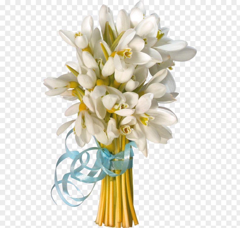 White Fresh Bouquet Decorative Pattern Spring Ansichtkaart Daytime Animation Smiley PNG