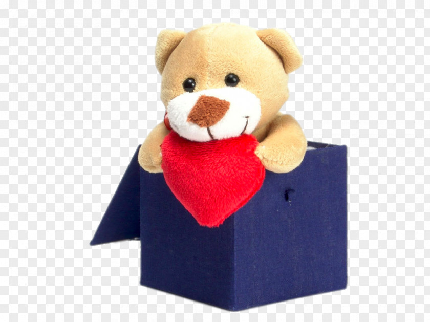 Bear Lying In A Box Doll Stock Photography Tovint PNG