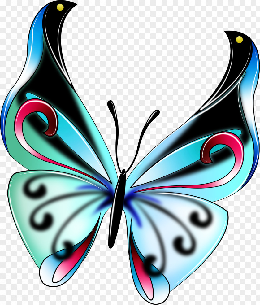 Blue Butterfly Desktop Wallpaper Evenus Coronata Clip Art PNG