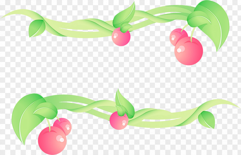 Fruit Flower Pink Plant Leaf PNG