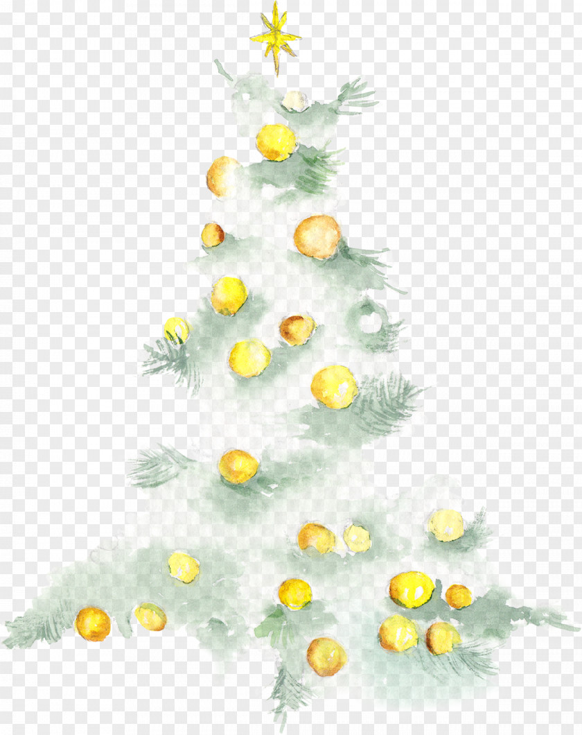 Hand-painted Christmas Tree Illustration PNG