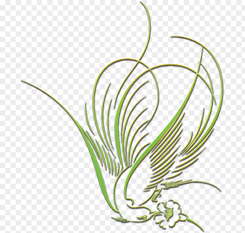 Islamic Motifs Plant Line Art Grasses Tree Clip PNG