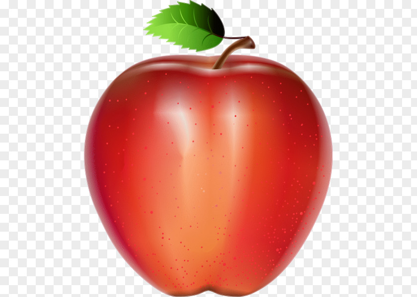 Juice McIntosh Apple Fruit PNG