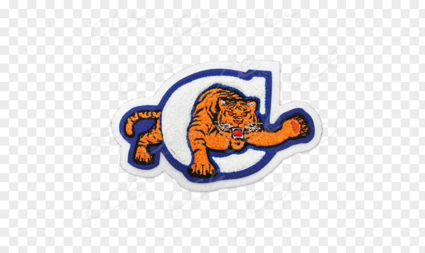 Tiger Mascot National Secondary School Texas High PNG
