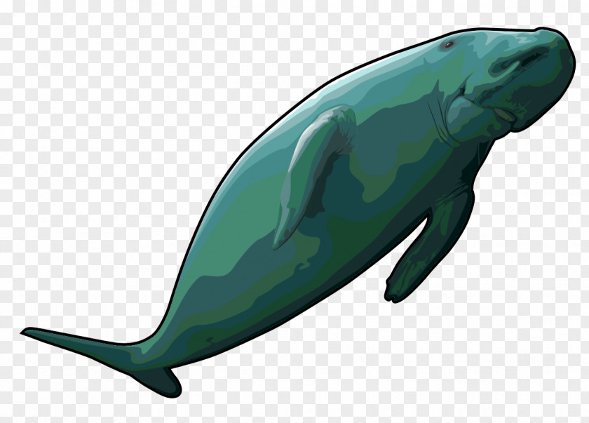 Whale Sea Cows Steller's Cow Common Bottlenose Dolphin Dugong Clip Art PNG