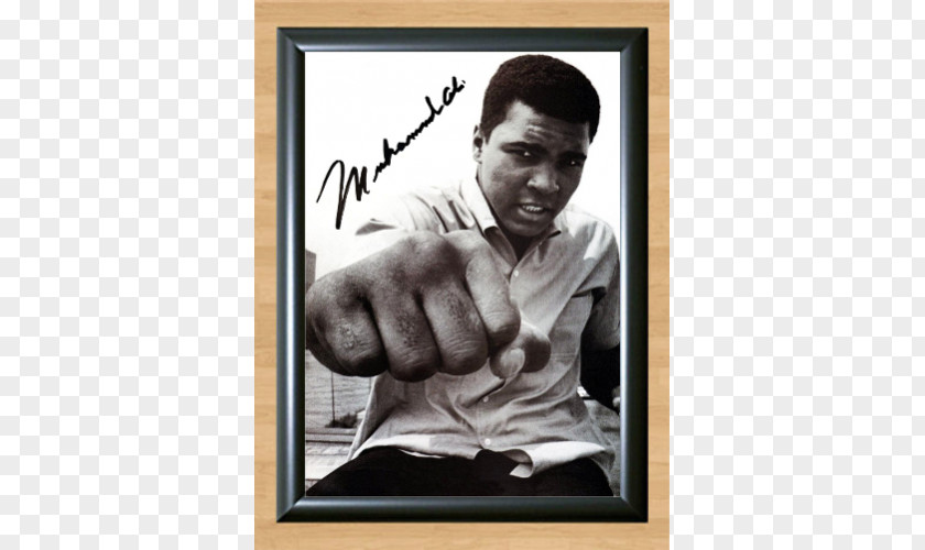 Boxing Muhammad Ali Apple Heavyweight Athlete PNG