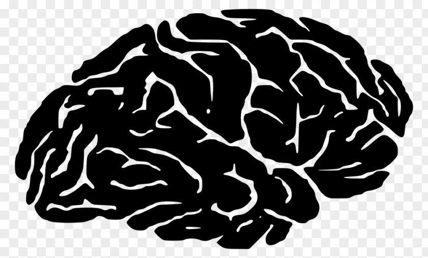 Brain Silhouette Clip Art PNG