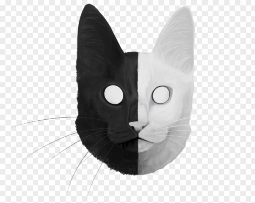 Cheesecake Art Whiskers Cat Black White Snout PNG