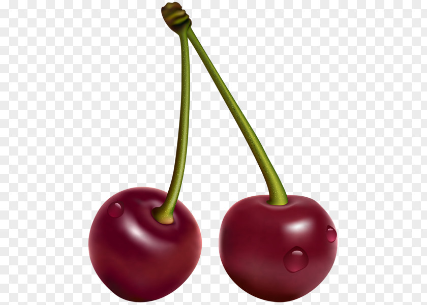 Cherry Fruit Clip Art PNG