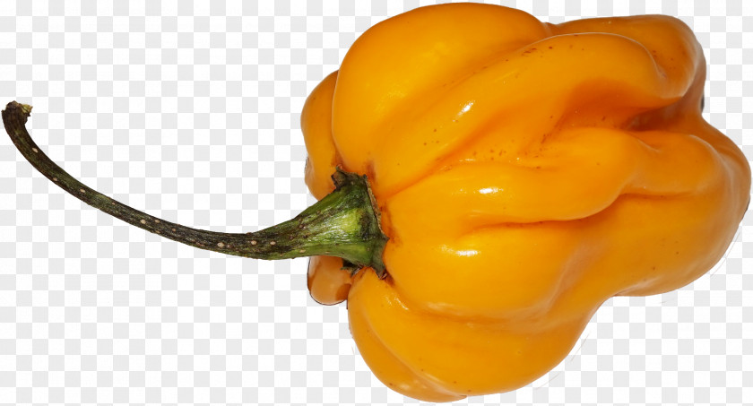 Chili. Habanero Chili Pepper Yellow Bell Paprika PNG