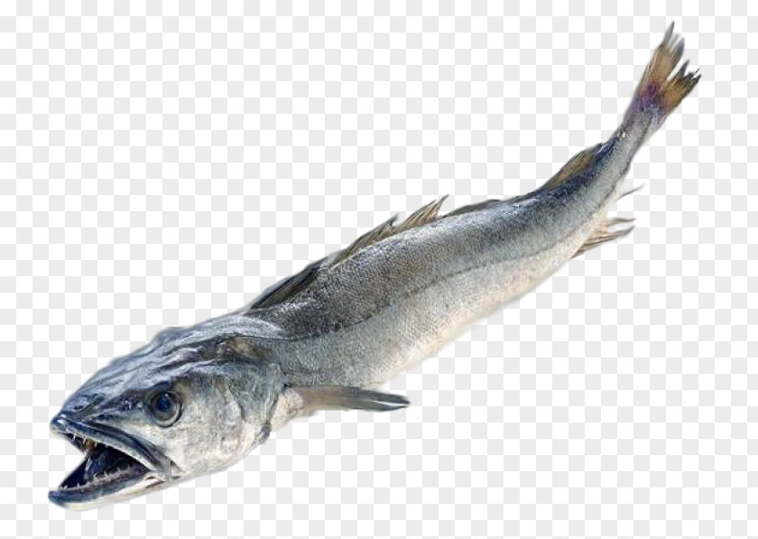 Fish Italian Cuisine Merluccius Angler Hake PNG