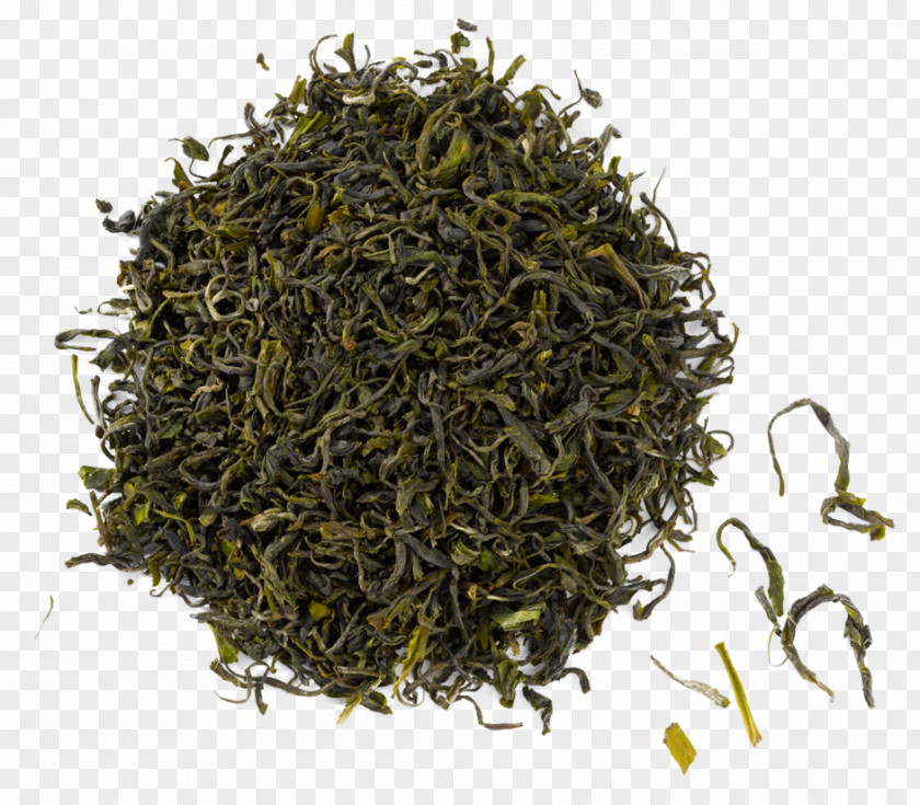 Tea Gyokuro Nilgiri Oolong Darjeeling PNG