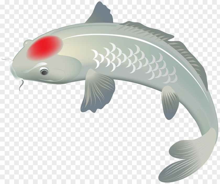 White Koi Fish Clip Art Image File Formats Lossless Compression PNG