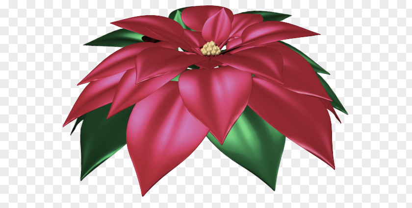 Cut Flowers Flower Poinsettia Petal Flora PNG