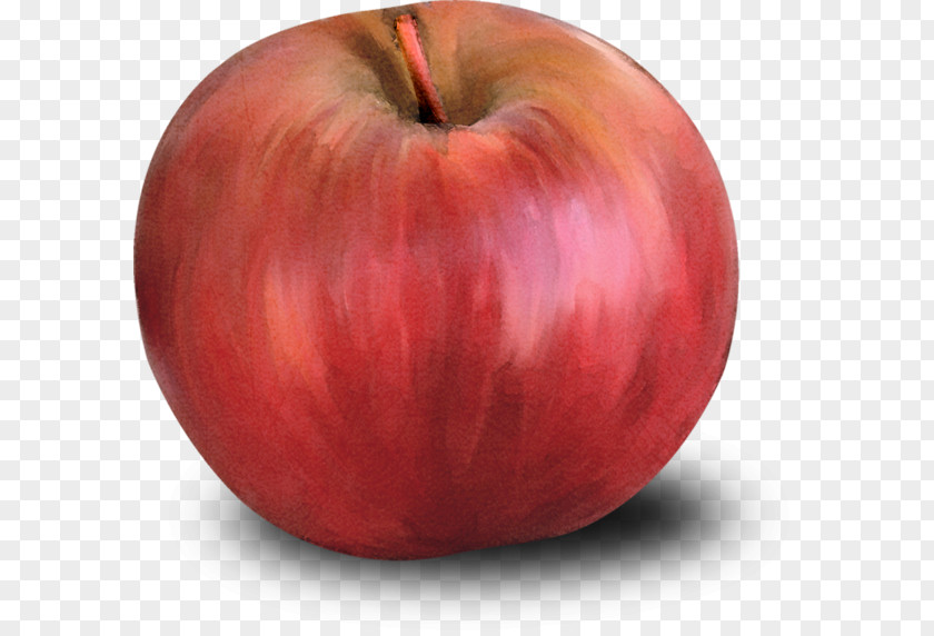 Hand-painted Red Apple PNG