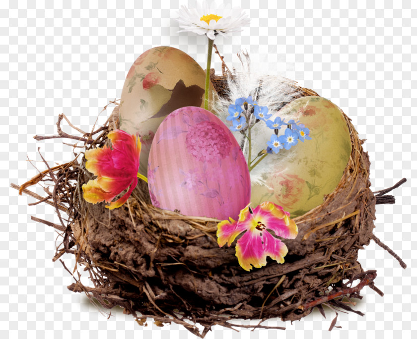 Happy Easter Images Designing Bird Nest Image Egg PNG