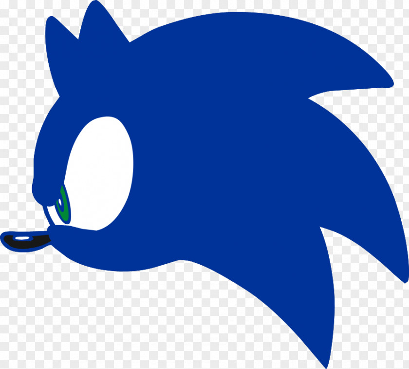 Sonic The Hedgehog Adventure Shadow Heroes Unleashed PNG