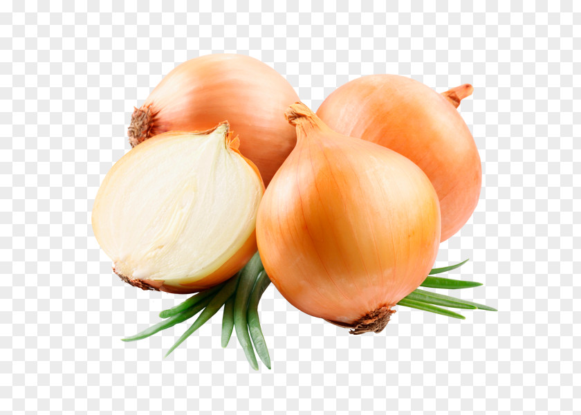 Vegetable Yellow Onion Food Ugam Exports Product PNG