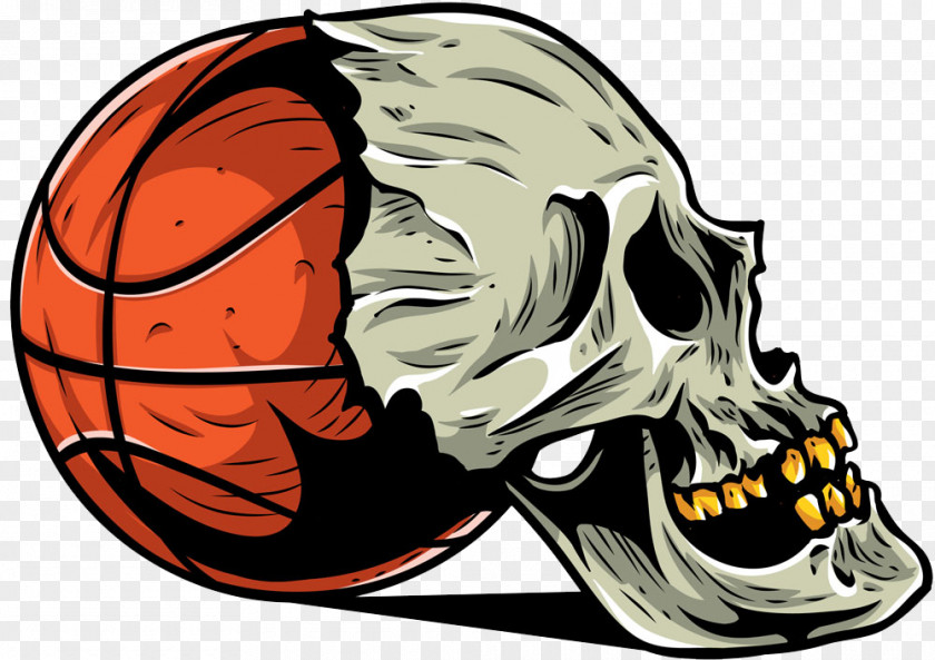 Basketball Cranial Skeleton Sport Illustration PNG