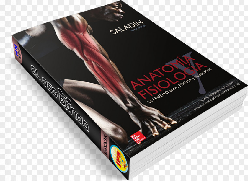 Book Gran Libro De La Reposteria Cookbook Contratos Civiles Y Sus Generalidades E-book PNG