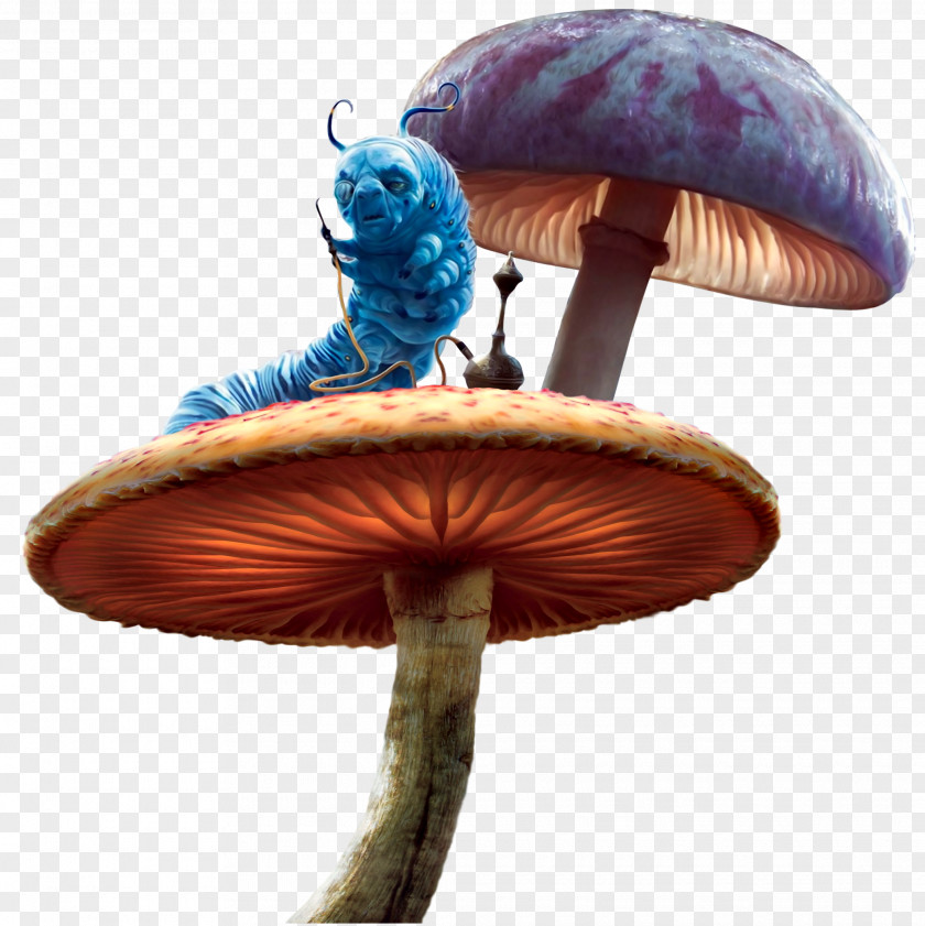 Fairy Tale Mushroom Alice's Adventures In Wonderland PNG