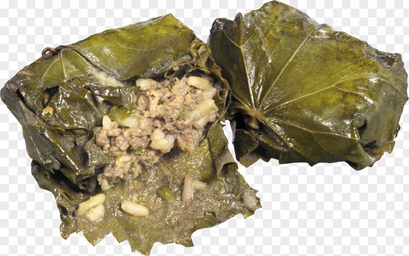 Grape Leaves Dolma Clip Art PNG