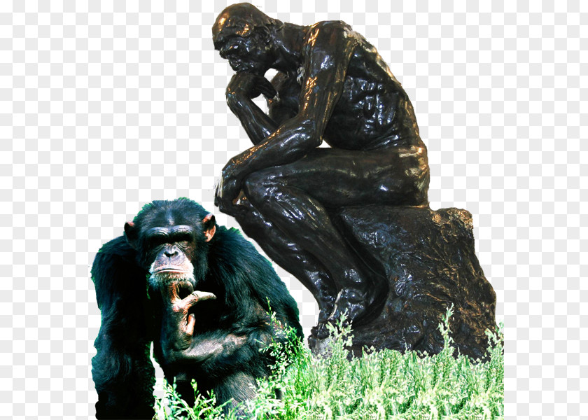 Hemingway Common Chimpanzee Western Gorilla Sculpture Monkey Pyrexia EP PNG