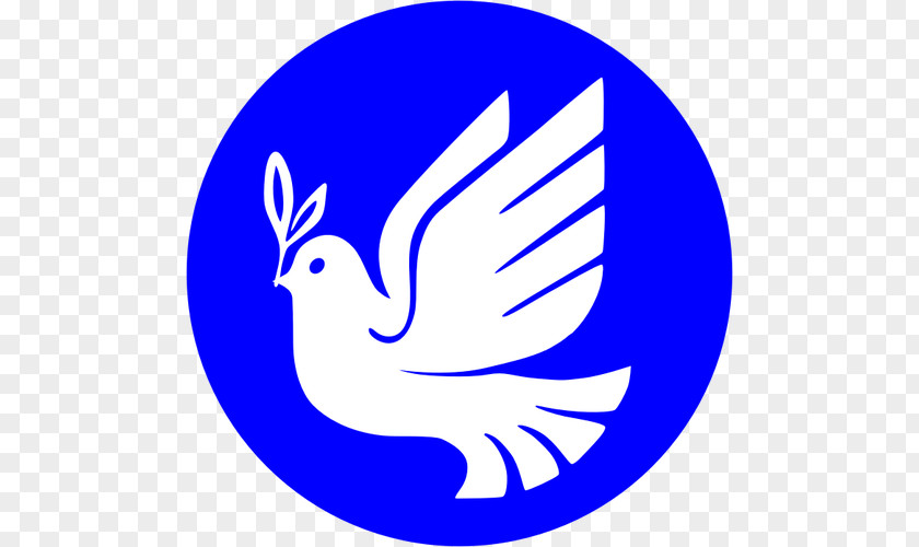 Peace Dove Columbidae Doves As Symbols Clip Art PNG
