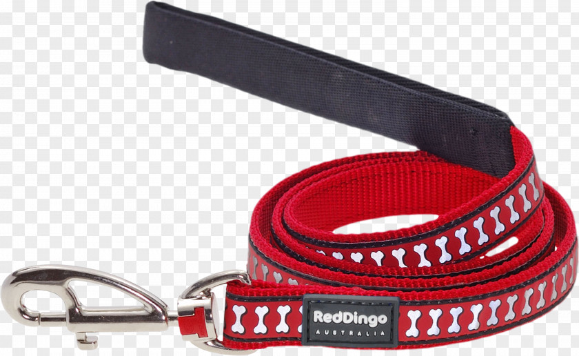 Red Collar Dingo Dog Leash Pet Lead PNG