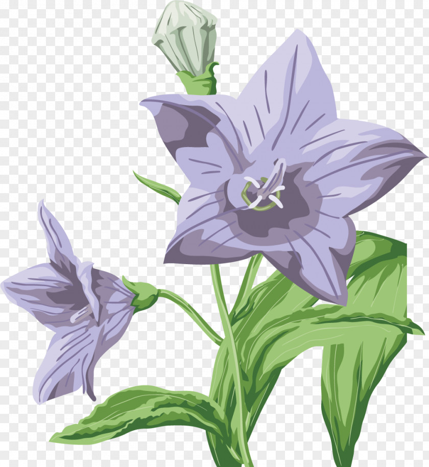 Small Bells Wedding Flower Clip Art PNG