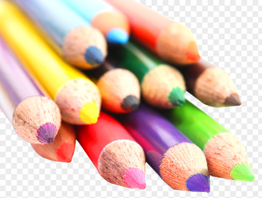 Various Color Pencils Colored Pencil PNG