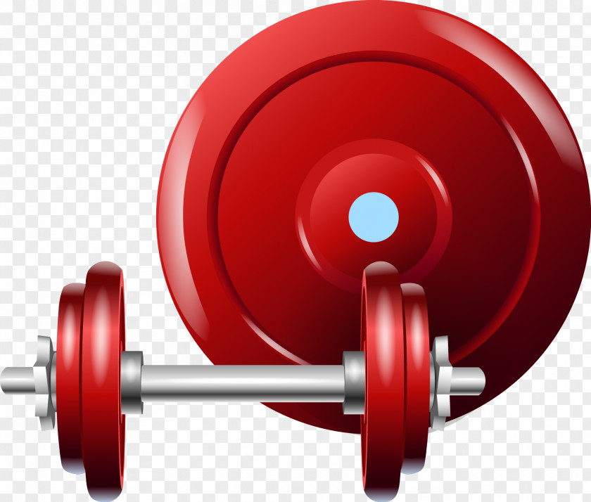 Vector Barbell Euclidean Icon PNG