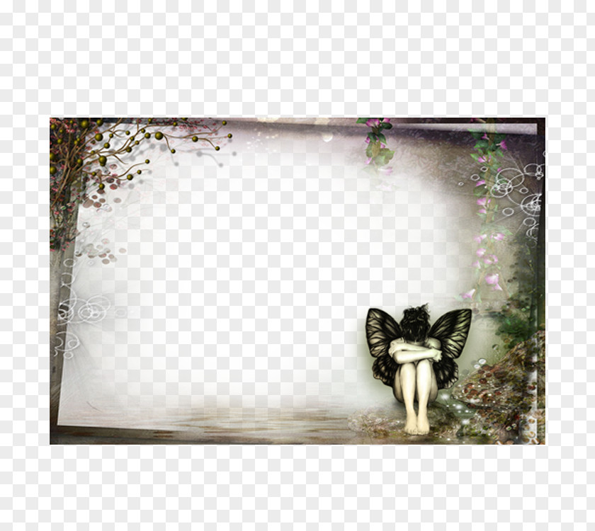 Butterfly Frame Picture Computer File PNG