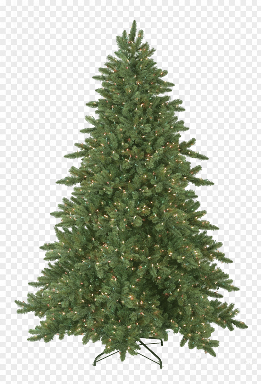 Christmas Tree Fraser Fir Pre-lit Artificial National Company PNG