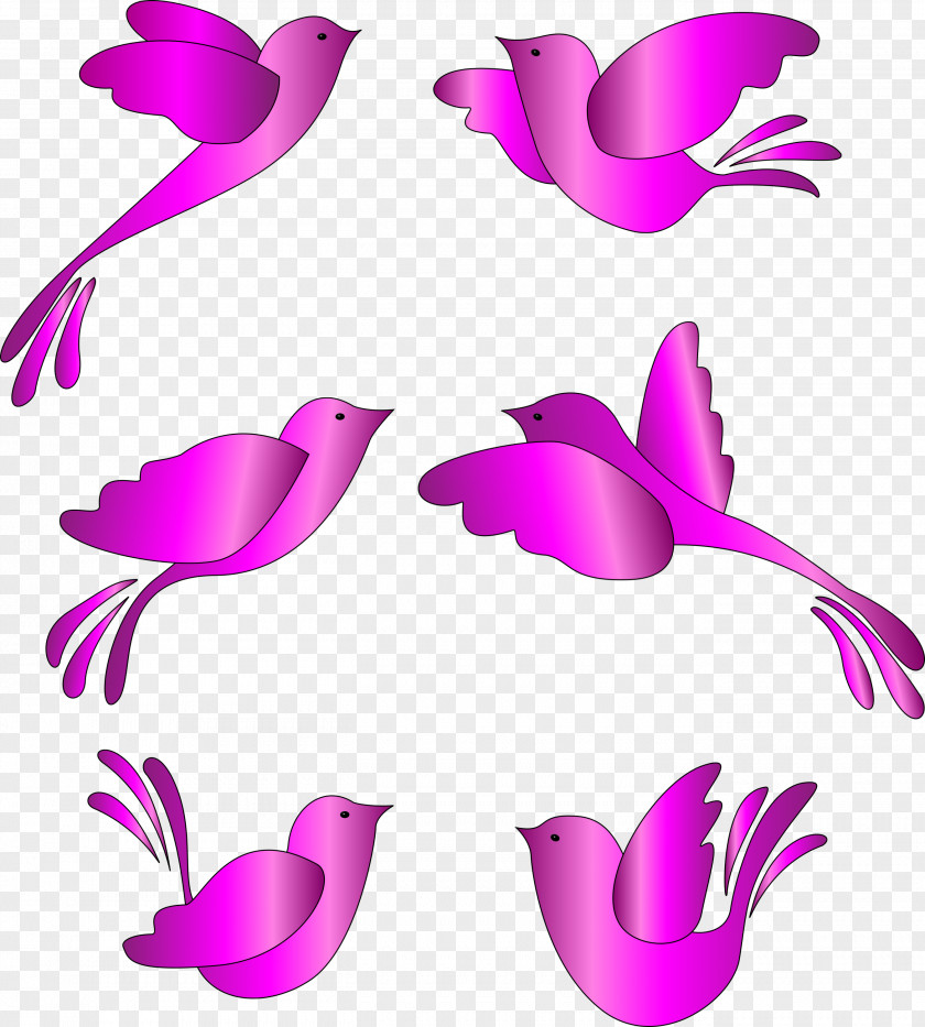 Clip Art Beak Line Pattern Character PNG