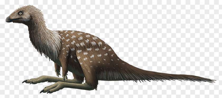 Dinosaur Ornithomimosauria Limusaurus Ceratosaurus Ceratosauria PNG