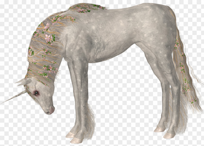 Horse Unicorn Mythology Clip Art PNG