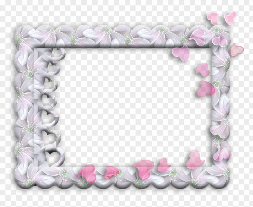 Marcos Light Flower Picture Frames Photography PNG