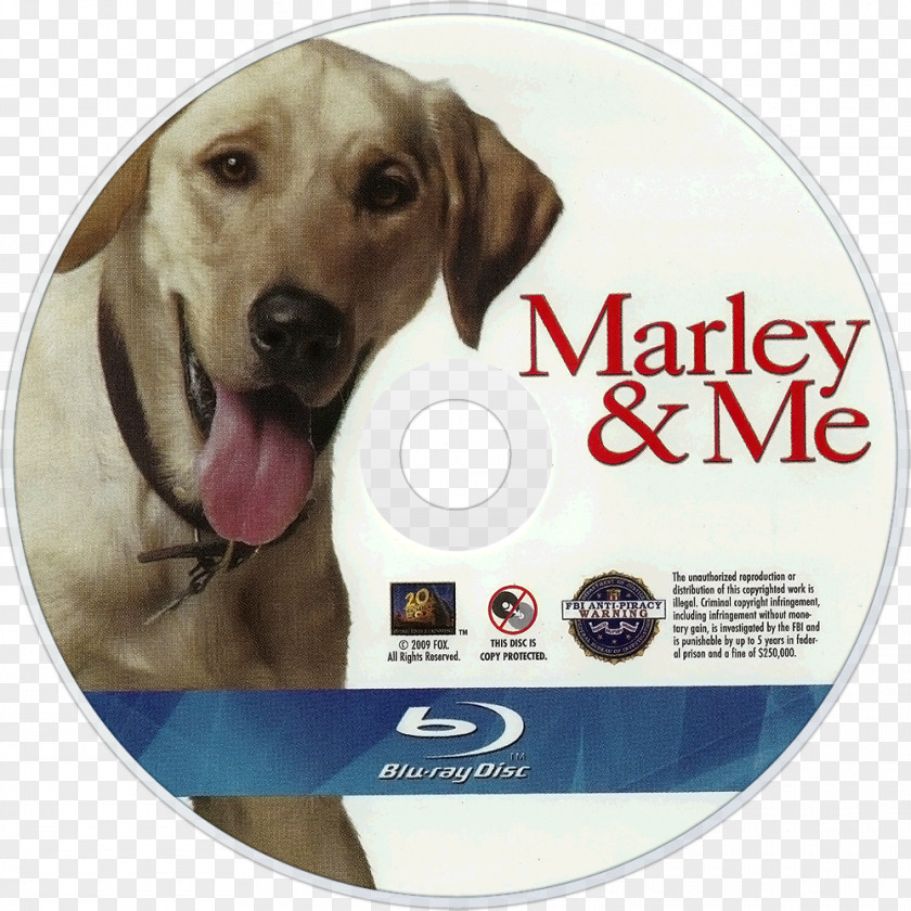 Marley Labrador Retriever & Me: Life And Love With The World's Worst Dog Film PNG