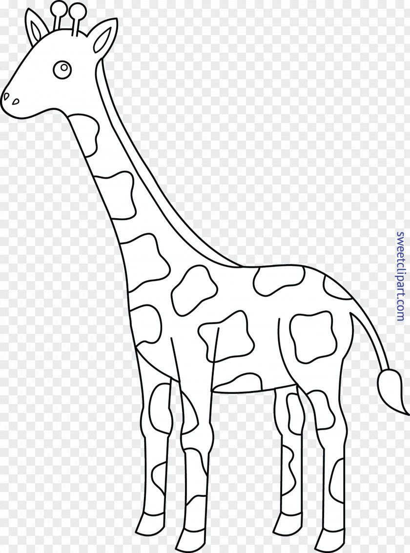 Child Coloring Book Cuteness Adult Reticulated Giraffe PNG
