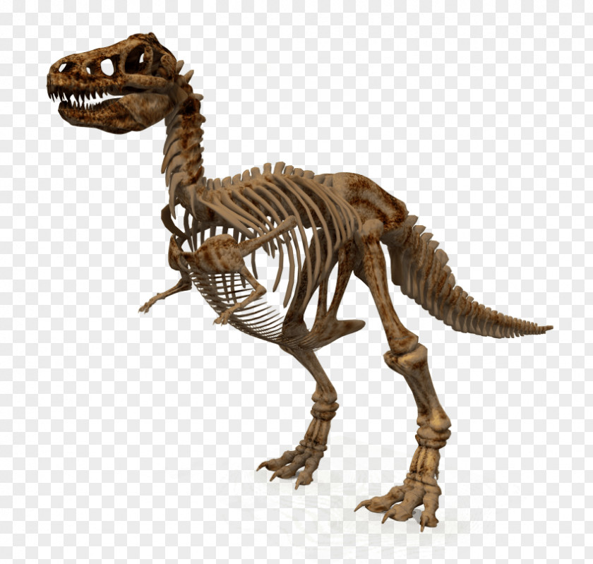 Dinosaur Clip Art Transparency Image Tyrannosaurus PNG