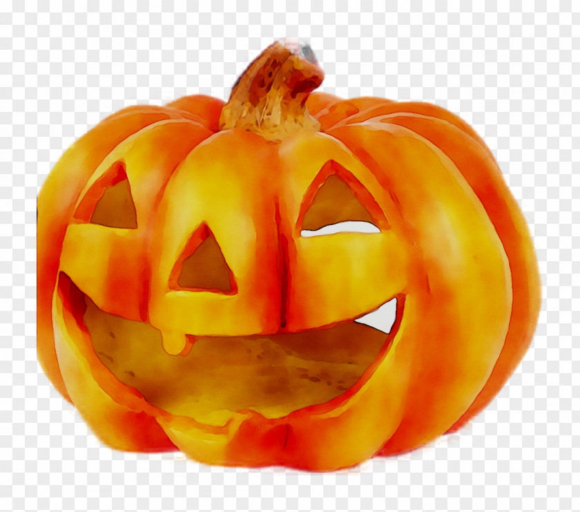 Jack-o'-lantern Pumpkin Squash Halloween Gourd PNG