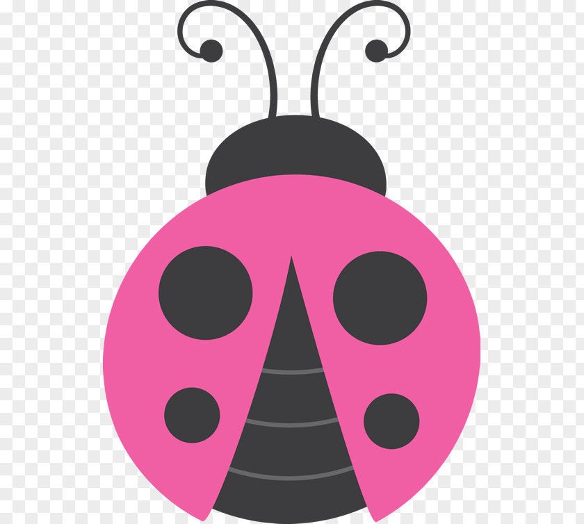 Bee Ladybird Beetle Clip Art PNG
