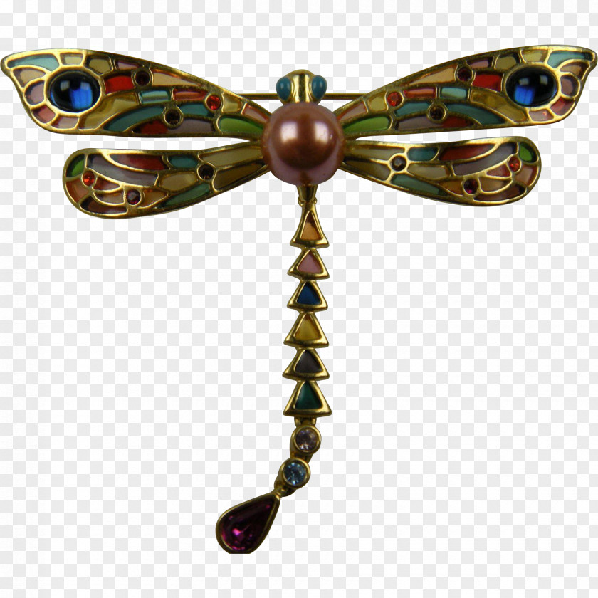 Dragonfly Insect Butterfly Clothing Accessories Pollinator Invertebrate PNG