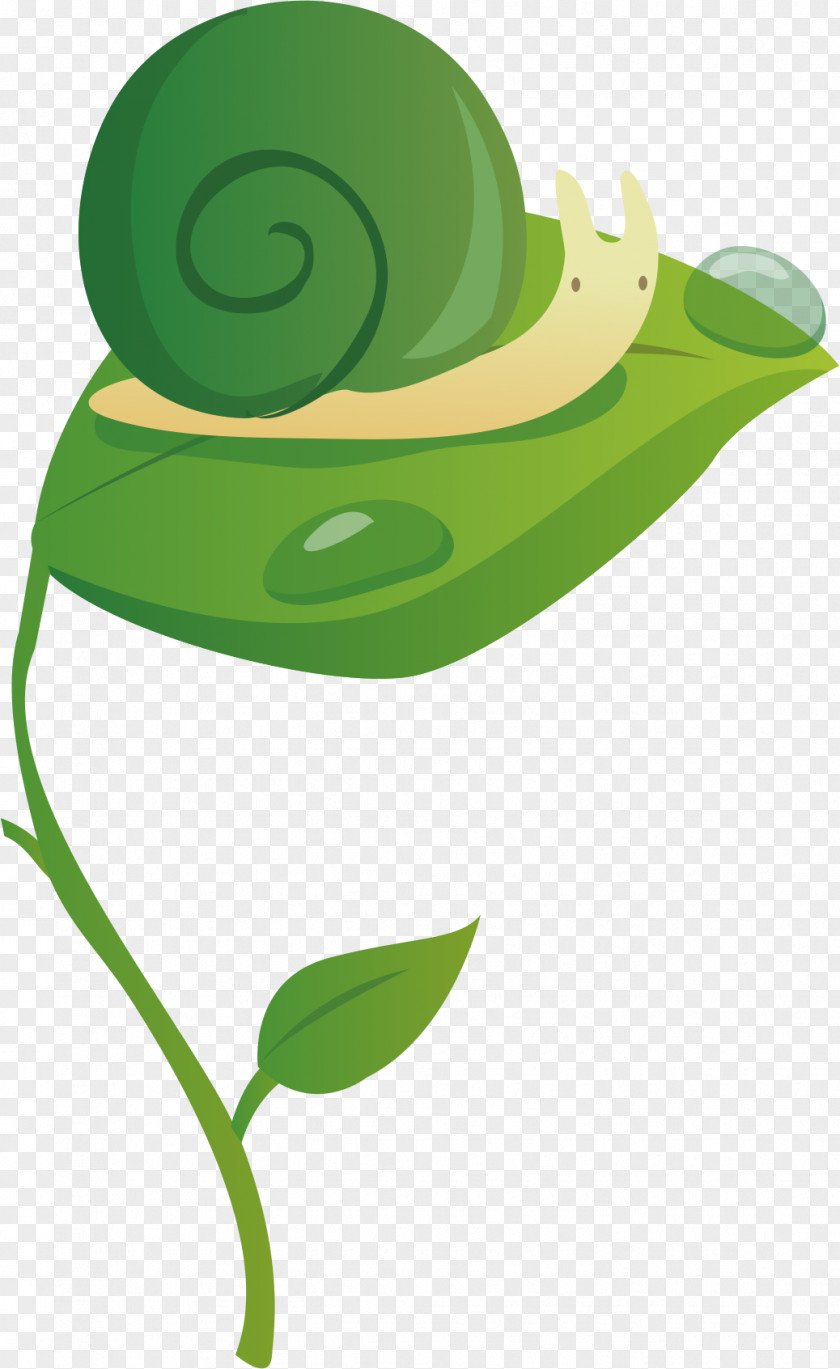 Green Snail Clip Art PNG