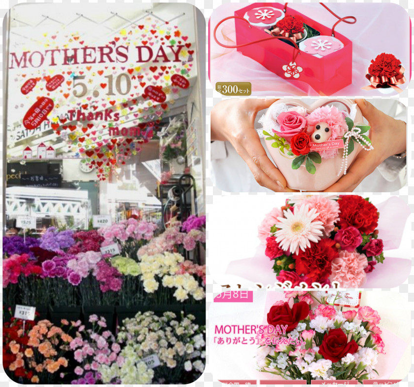 Haha Floral Design Cut Flowers Japan Flower Bouquet PNG